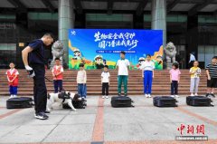 广州海关去年查获外来物种179种次